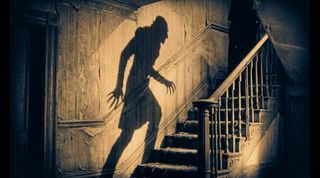 The library's reference image for Silent Vampire